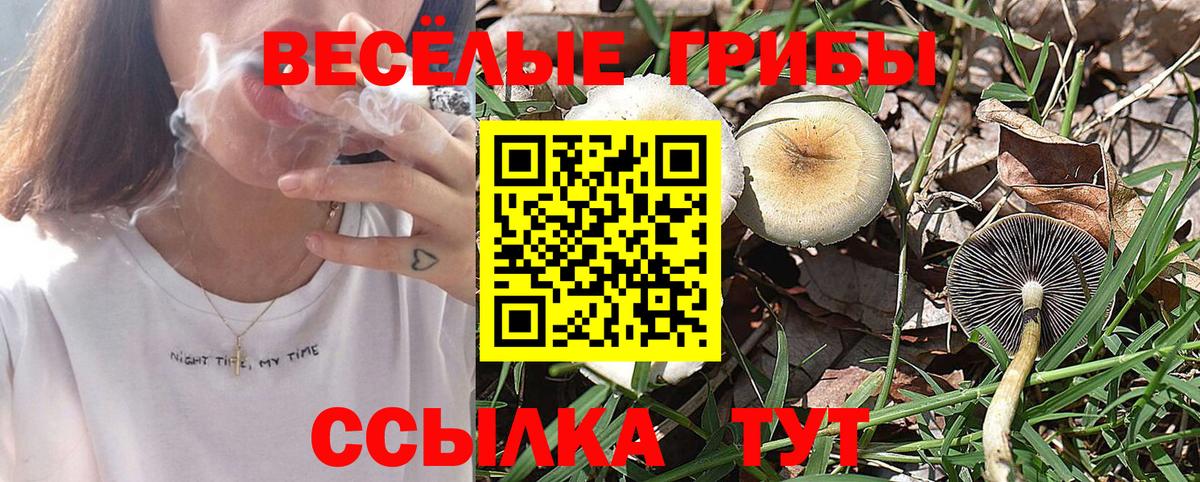 Псилоцибиновые грибы прущие грибы  Вход с VPN  Воркута 