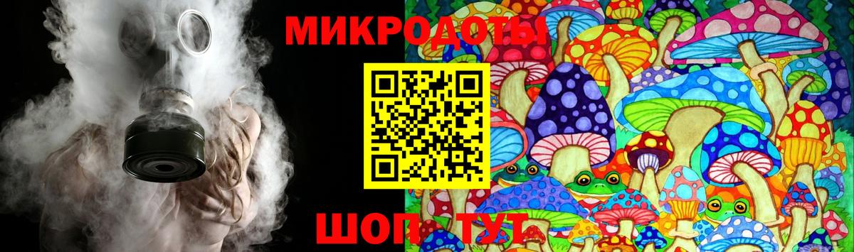 Галлюциногенные грибы Psilocybe Воркута
